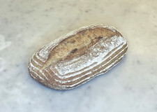 Råg Levain