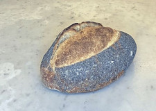 Levain med Vallmofrön